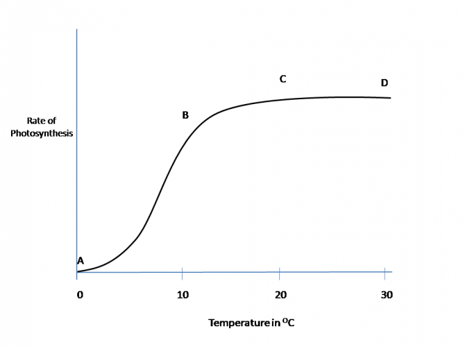 Interpret the Limiting Factors of Photosynthesis Worksheet EdPlace